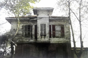 Büyükdere Sahilhane 72 Cadde Cephesi