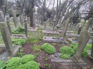 Çamlık Mezarlığı