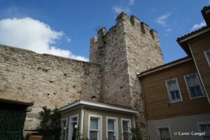 Sur-i Sultani 13. Burç