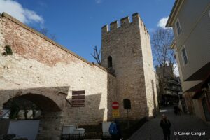 Sur-i Sultani 15. Burç