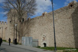 Sur-i Sultani 7. Burç