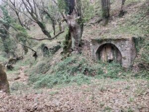 İkiz Çeşmeler, Koumani