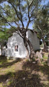 Şeyh Dede Türbesi, Milas