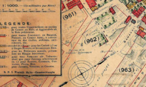 Pervititch 31. Pafta