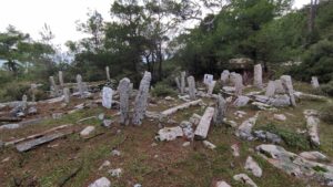 Anadolu Gediği Mezarlığı