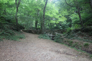 Kamariçe Su Kemeri, Bahçeköy