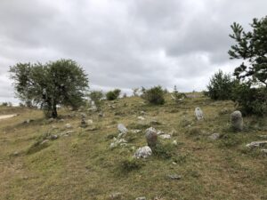 Emreler Köyü Mezarlığı