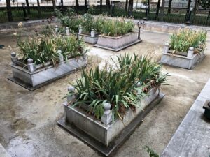 Seyyid Zülfikar Türbesi