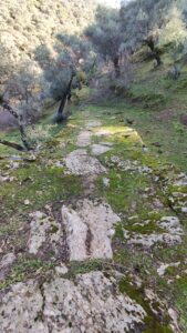Canlılarderesi Mevki Antik Yol