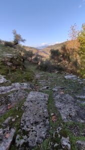 Canlılarderesi Mevki Antik Yol