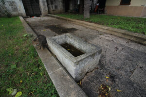 Taş Tekne, Odabaşı Behruz Ağa Camii