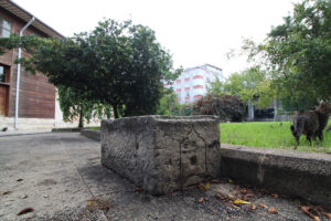 Taş Tekne, Odabaşı Behruz Ağa Camii