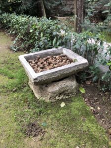 Beşikçizade Tekkesi Kuyusu