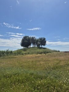 Kocahöyük Tümülüsü, Osmanlı