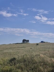Kocahöyük Tümülüsü, Osmanlı