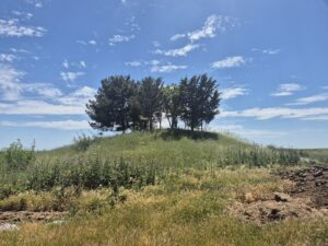 Kocahöyük Tümülüsü, Osmanlı