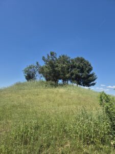 Kocahöyük Tümülüsü, Osmanlı
