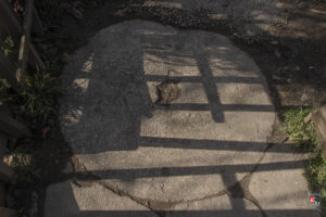 Konarı Eski Değirmeni'nin Taşı