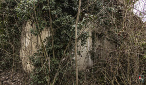 Seyyid Derviş Mehmet Ağa Camii