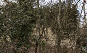 Seyyid Derviş Mehmet Ağa Camii