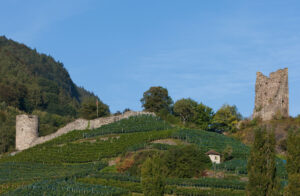 Freudenberg Kalesi