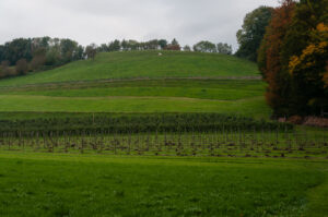 Lenensburg Kalesi