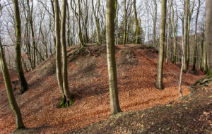 Alt-Sternberg Kalesi