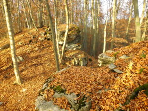 Genkingen Kalesi