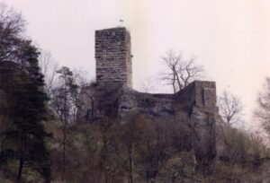 Hohenhundersingen Kalesi