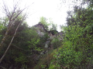 Tiefenstein Kalesi