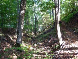 Spitzenberg Kalesi