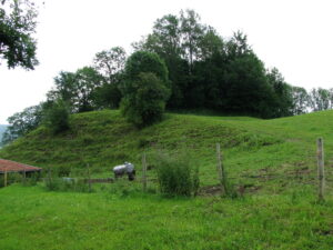 Ringenberg Kalesi