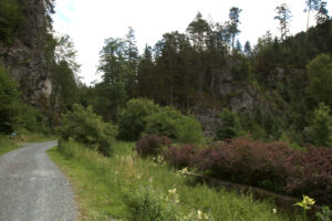 Wildenstein Kalesi 1