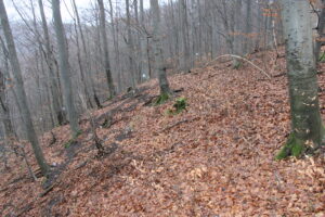 Winken Kalesi