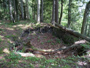 Fründsberg Kalesi