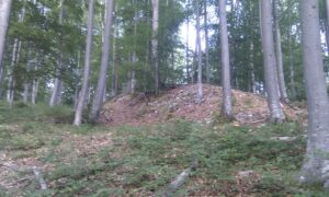 Amtenhausen Kalesi