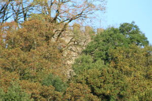 Saint-André Kalesi, Briord