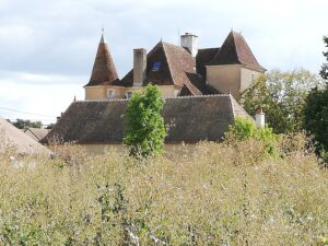 Ponneau Kalesi