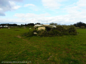 Dolmen, Saint-Pierre Lopérec