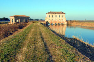 Palù Kulesi
