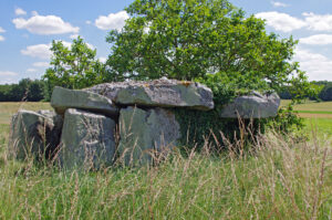 Dolmen, Forêt