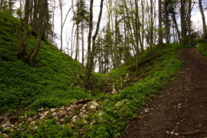 Hohenlupfen Kalesi