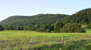 Hunnesrück Kalesi