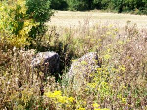 Dolmen, Coppière