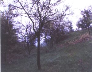 Oberlauda Kalesi