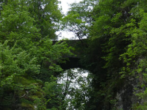 Poina Köprüsü, Novella