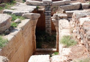 Ras Ibn Hani