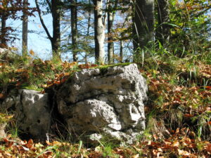 Schellenburg Kale Kalıntısı