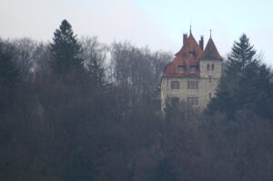 Neusteusslingen Şatosu