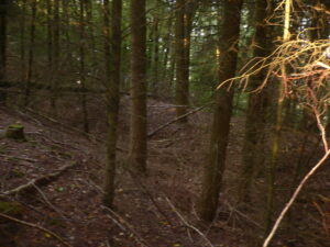 Naum Kalesi, Gladenbach